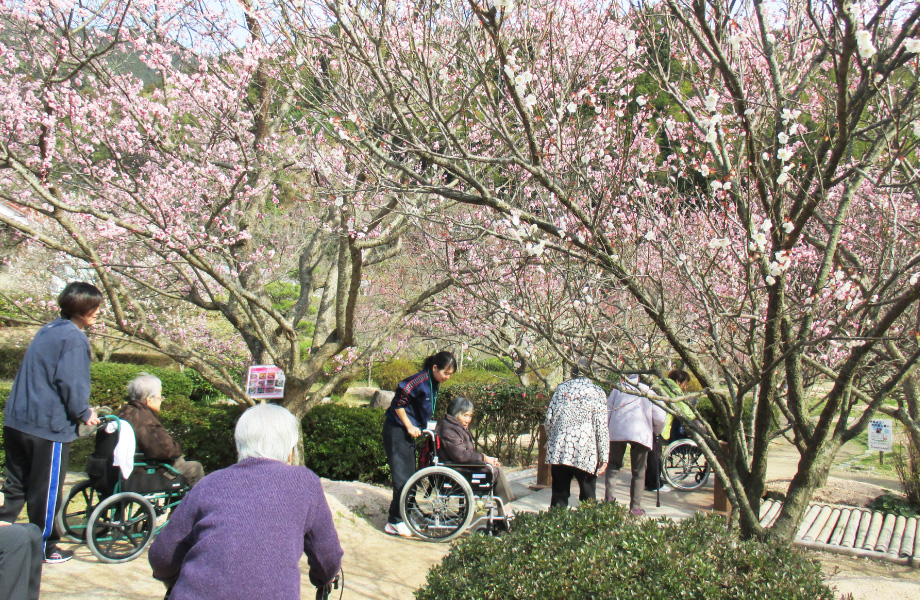 萩の梅林公園